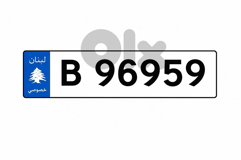 Special 5 Digits Car Plate Number