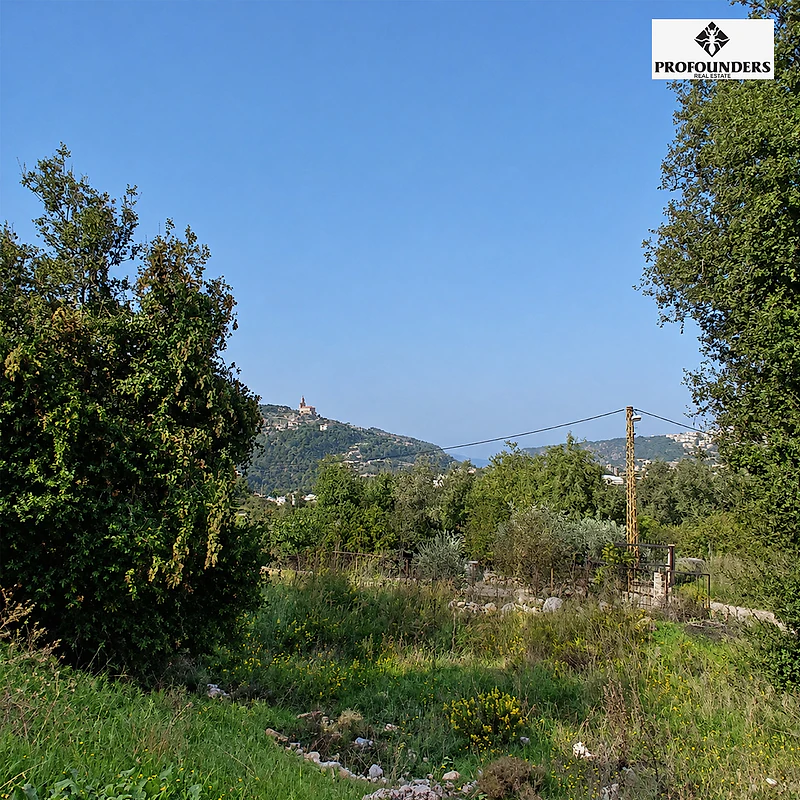 Land for sale in Hamlaya ارض للبيع في حملايا
