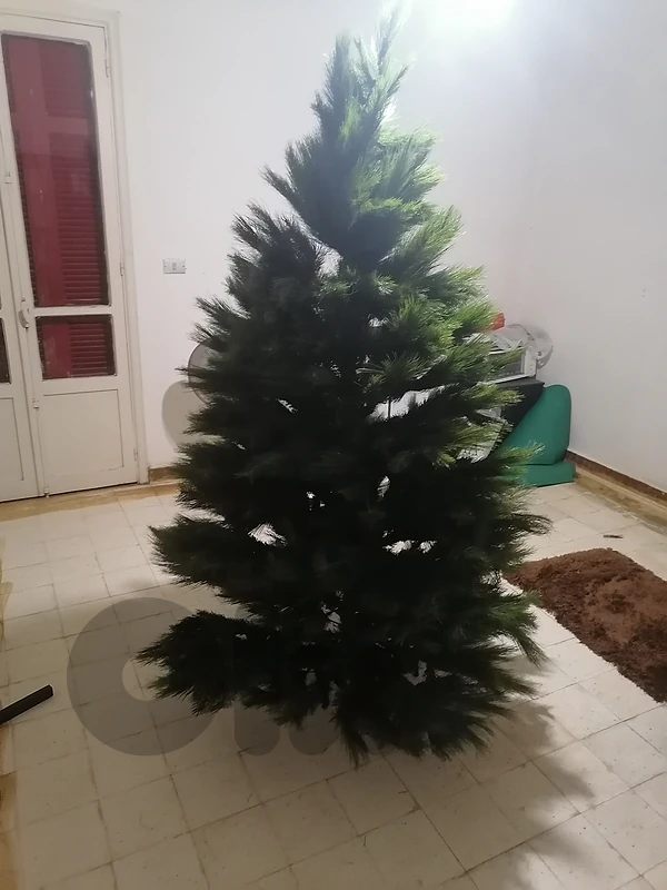 christmas tree