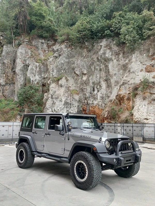 Jeep Wrangler willys 2017
