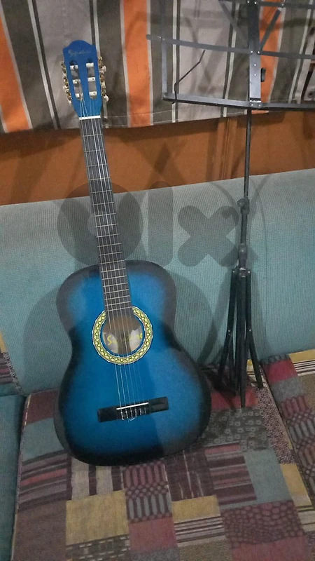 guitar with bag and book stand