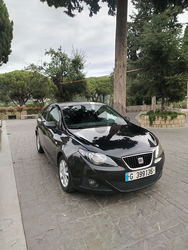 Seat Ibiza 2010
