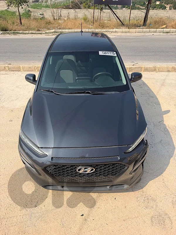 Hyundai kona 2019