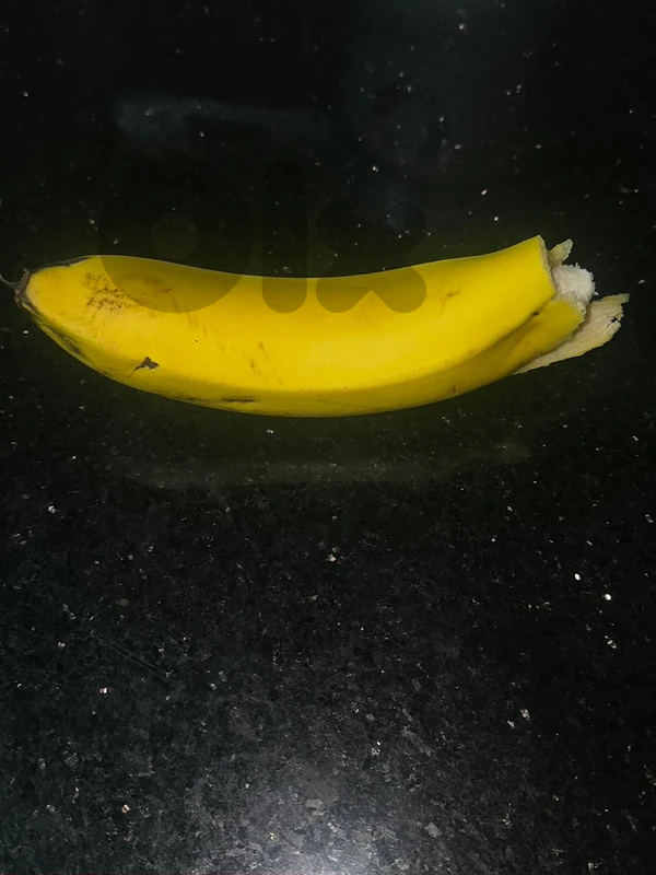 Vintage Pre-Peeled Yellow Curve Pod (2026 Edition)