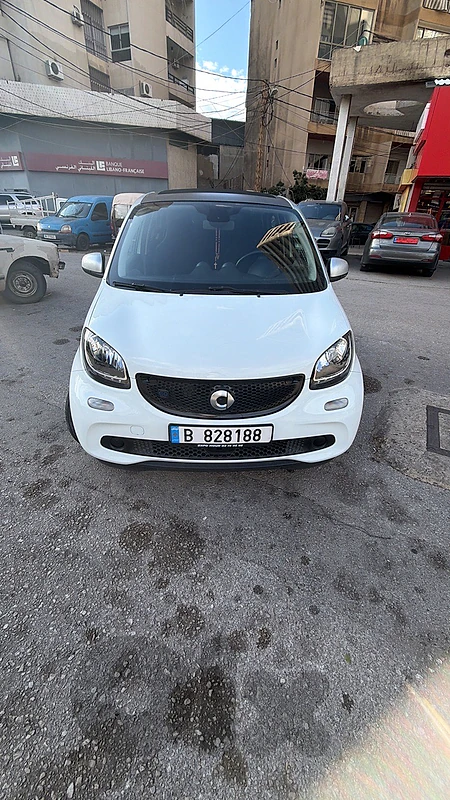 Smart Other 2018 used like new