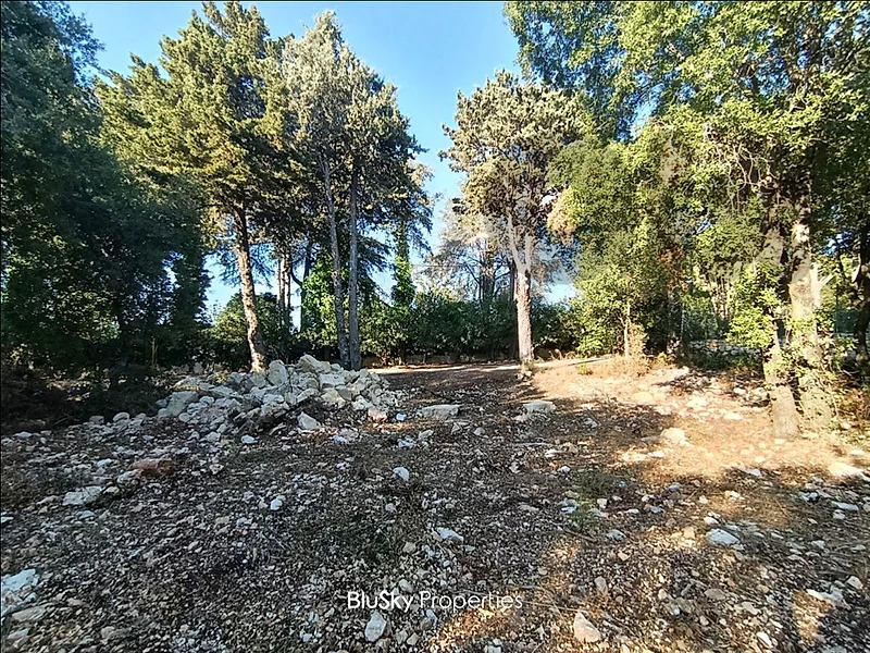 Land For SALE In Zebdine أرض للبيع #CA