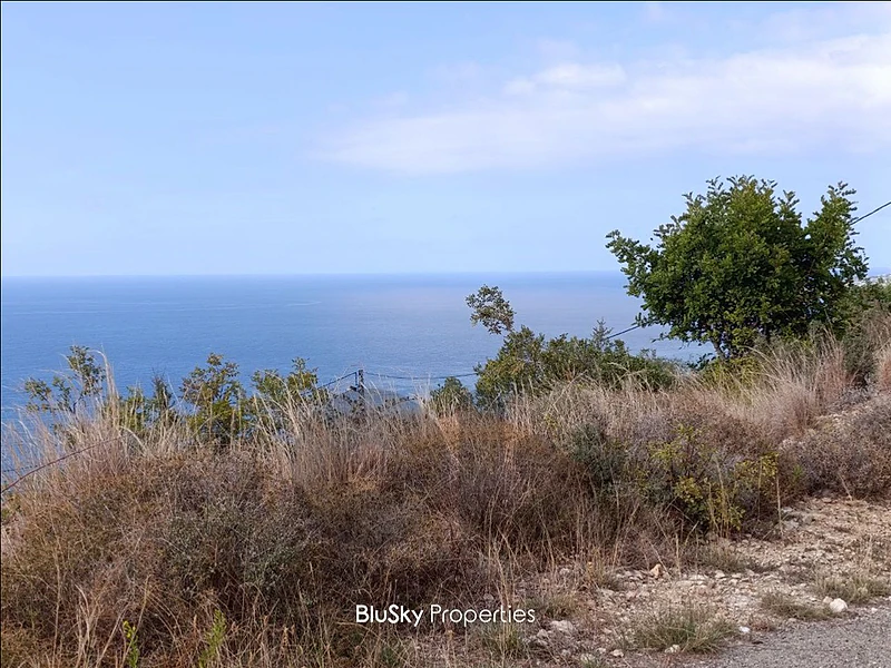 Land For SALE In Halat أرض للبيع #CA