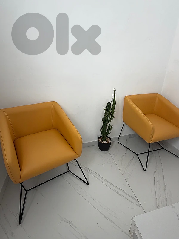 2 chairs like new
