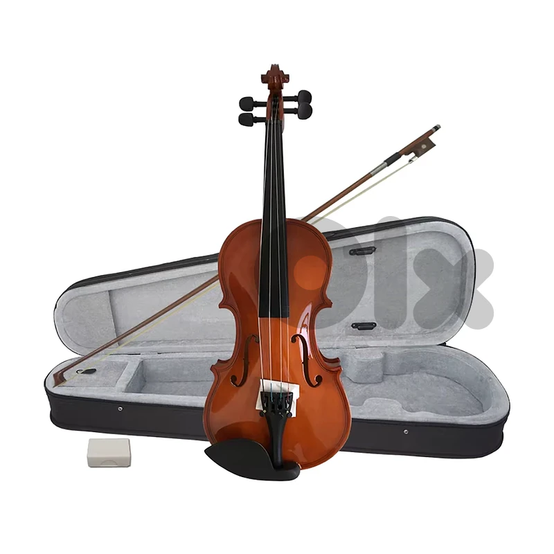 Aiersi SGV015G Student Violin 4/4