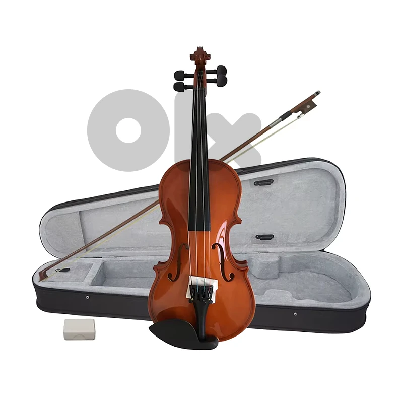 Aiersi SGV015G Student Violin 3/4