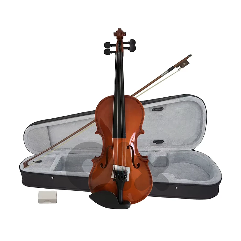 Aiersi SGV015G Student Violin 1/2