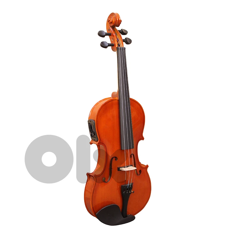 Aiersi SGV015G Student Semi-Electric Violin 4/4