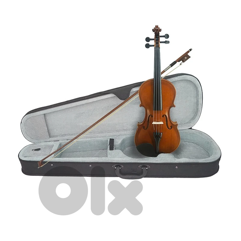Aiersi GVT015E 4/4 Violin