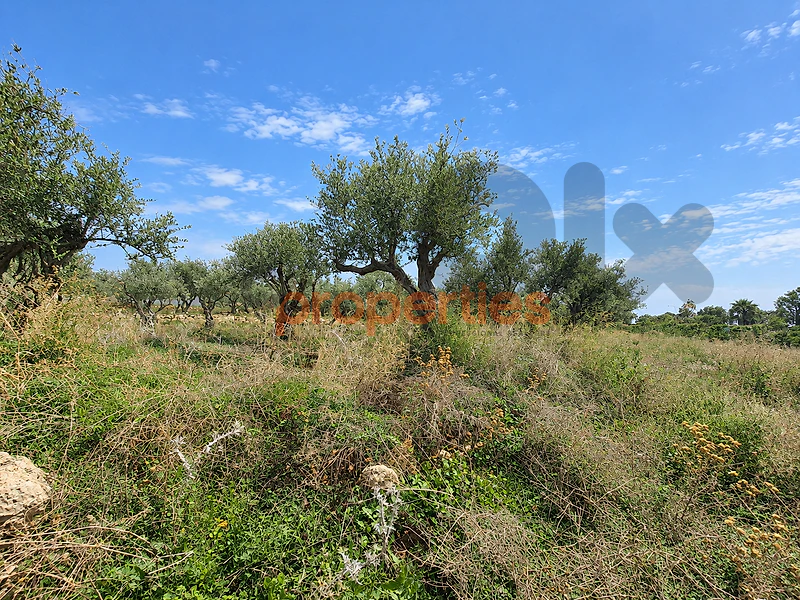 Land for Sale in Anfeh - CPJPJ03-أرض للبيع