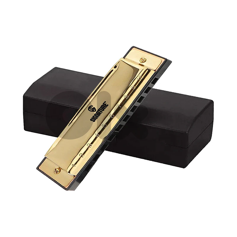 Signature HARSS10H 10-Hole Stainless Steel Harmonica