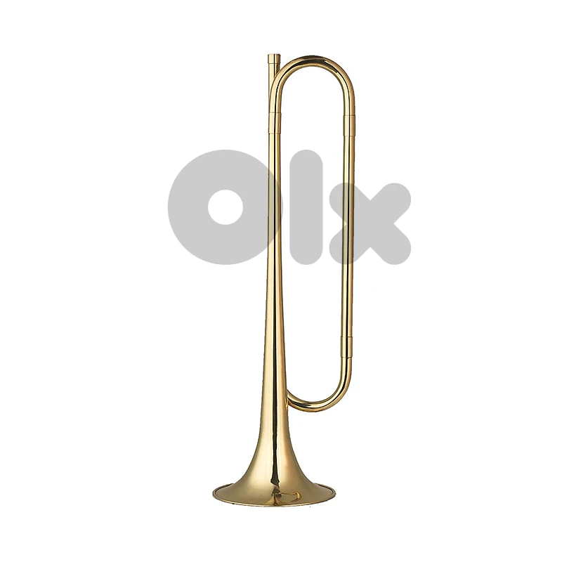 Wisemann DY-260 Bb Bugel