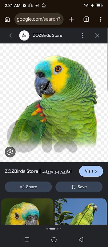 aramoun