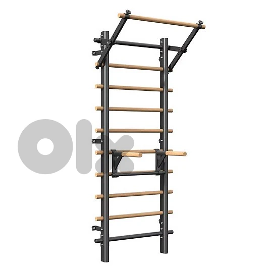 swedish ladder pro
