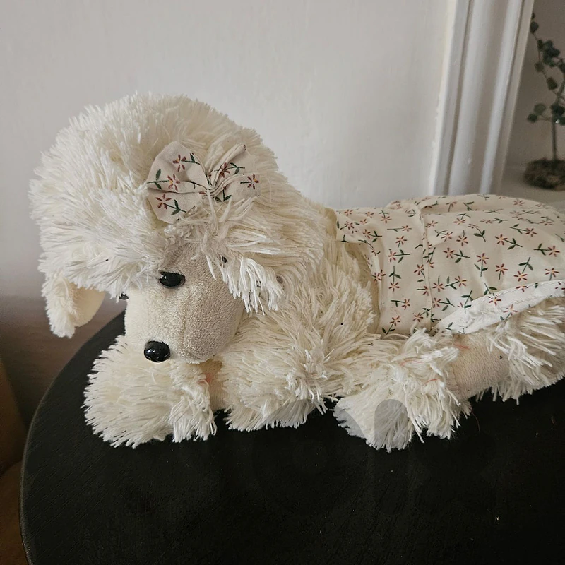 pelluche