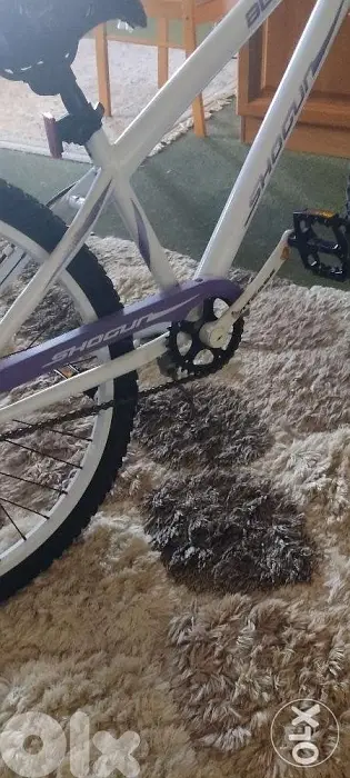 Bicycle 24"