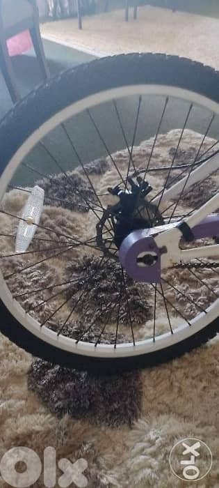 Bicycle 24" 1