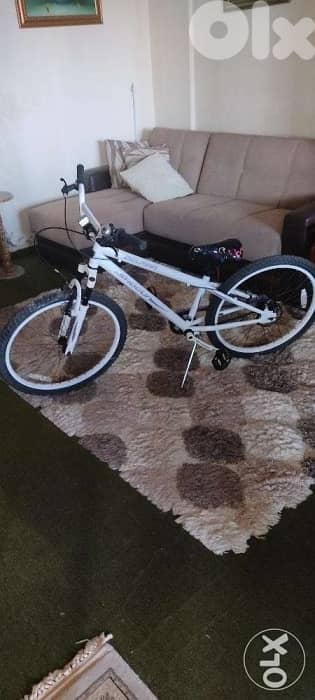 Bicycle 24" 2