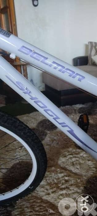Bicycle 24" 3
