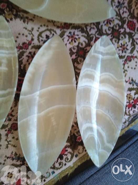صحون شحم عظم 1
