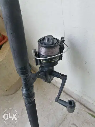 fishing reel