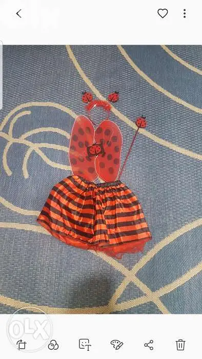 طقم مناسبات  كوكسونيل