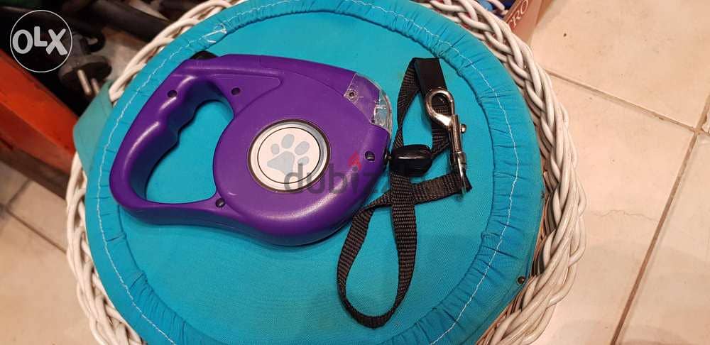 Dog leash 0