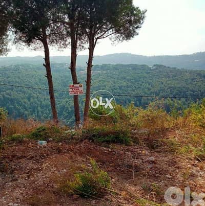 Land for sale in Al Oyoun ارض للبيع في العيون