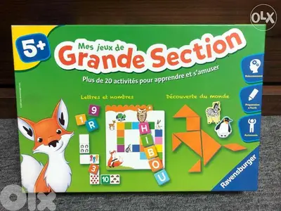 Educational Toy Ravebsurger