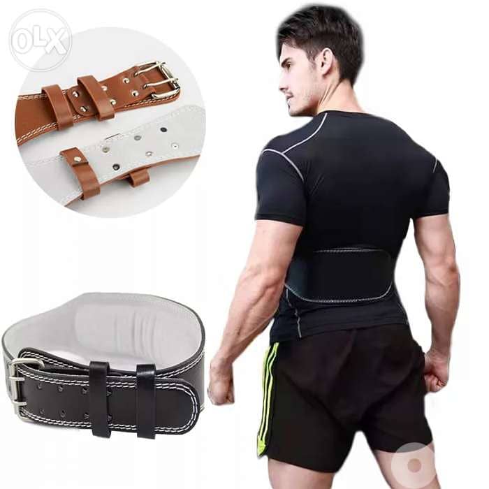 Back belt 1
