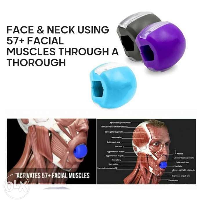 Face Masseter 0