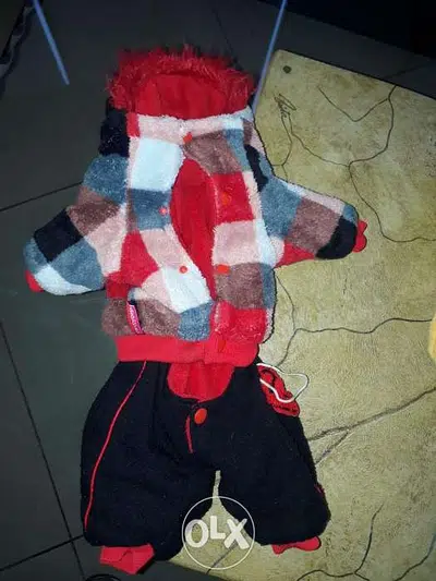 for dog