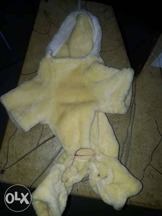 for dog 1