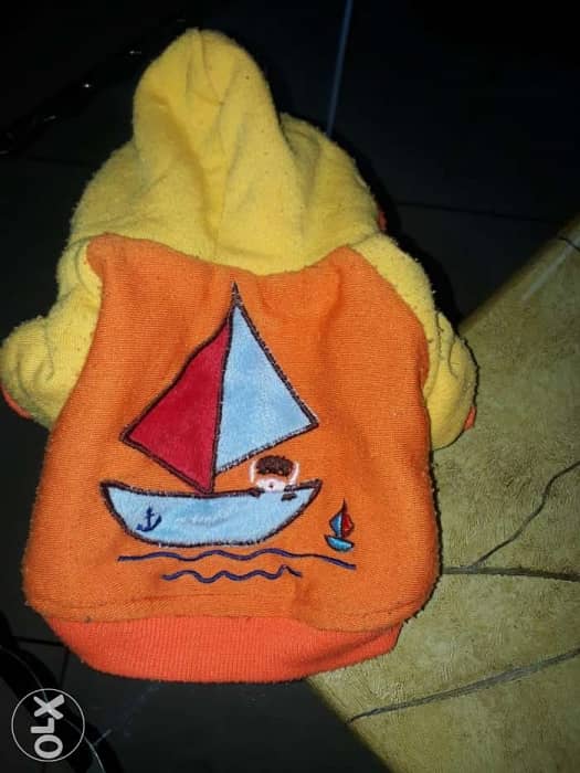 for dog 0