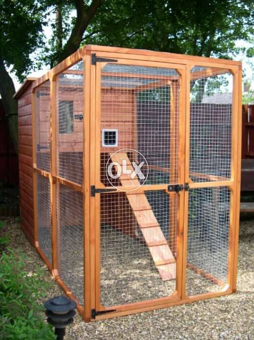 Outdoor cats home 0