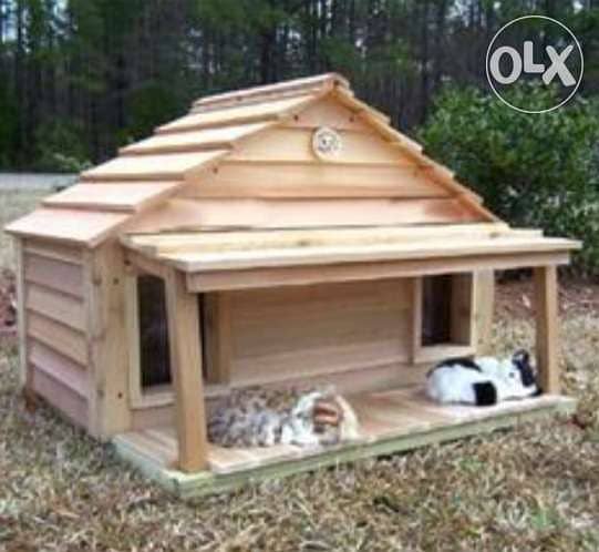 Outdoor cats home 3
