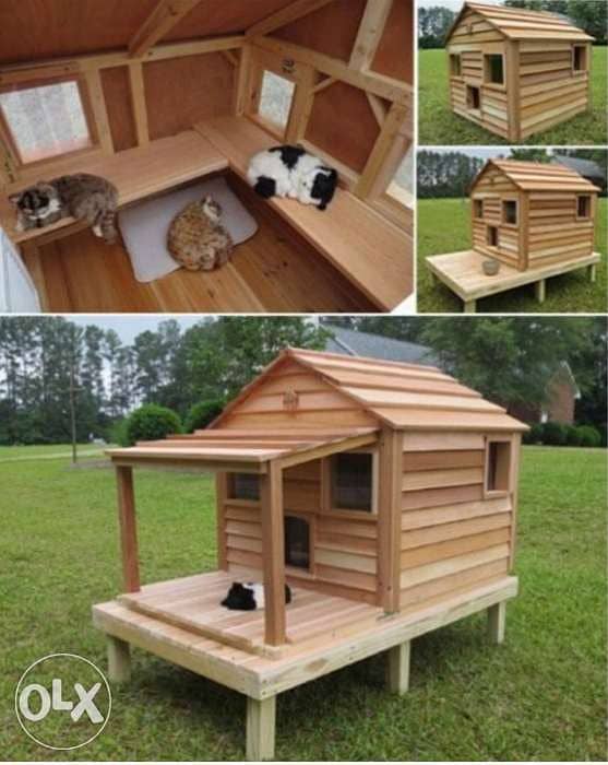 Outdoor cats home 4