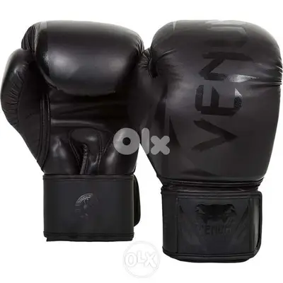 Venum Elite (Kick)Boxing Gloves