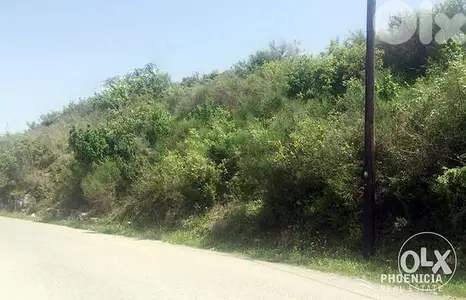 Land | Blat | Main Road | أرض للبيع | بلاط |PLS22656