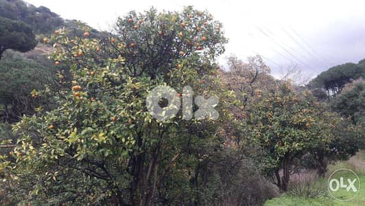 1996 Sqm | Land for sale in Mansourieh / Aylout | Mountain view