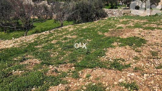Blat | Land | أرض للبيع | بلاط |PLS24933