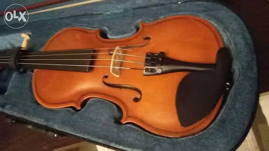 Violon wood