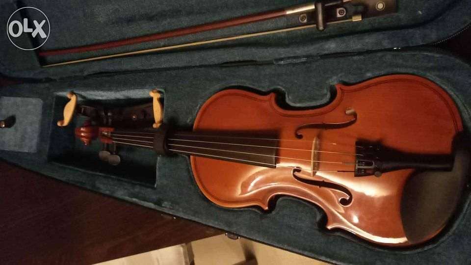 Violon wood 1