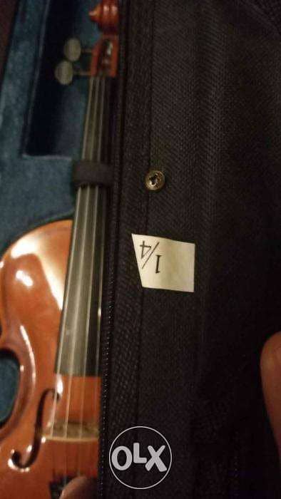 Violon wood 2