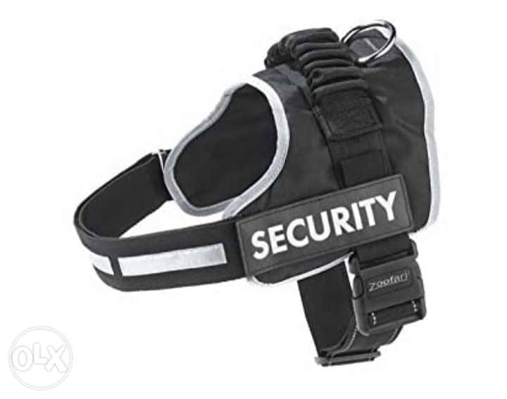 Zoofari Dog Harness / 4$ delivery 0