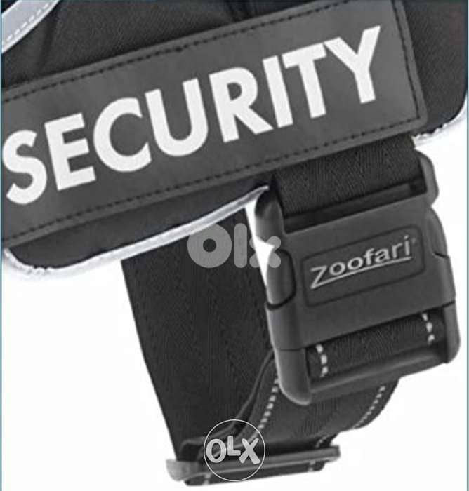 Zoofari Dog Harness / 4$ delivery 3